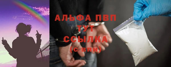 гашик Верея