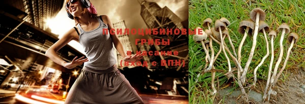 гидропоника Бронницы