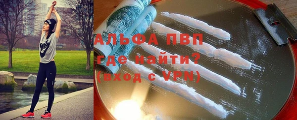 гашик Верея